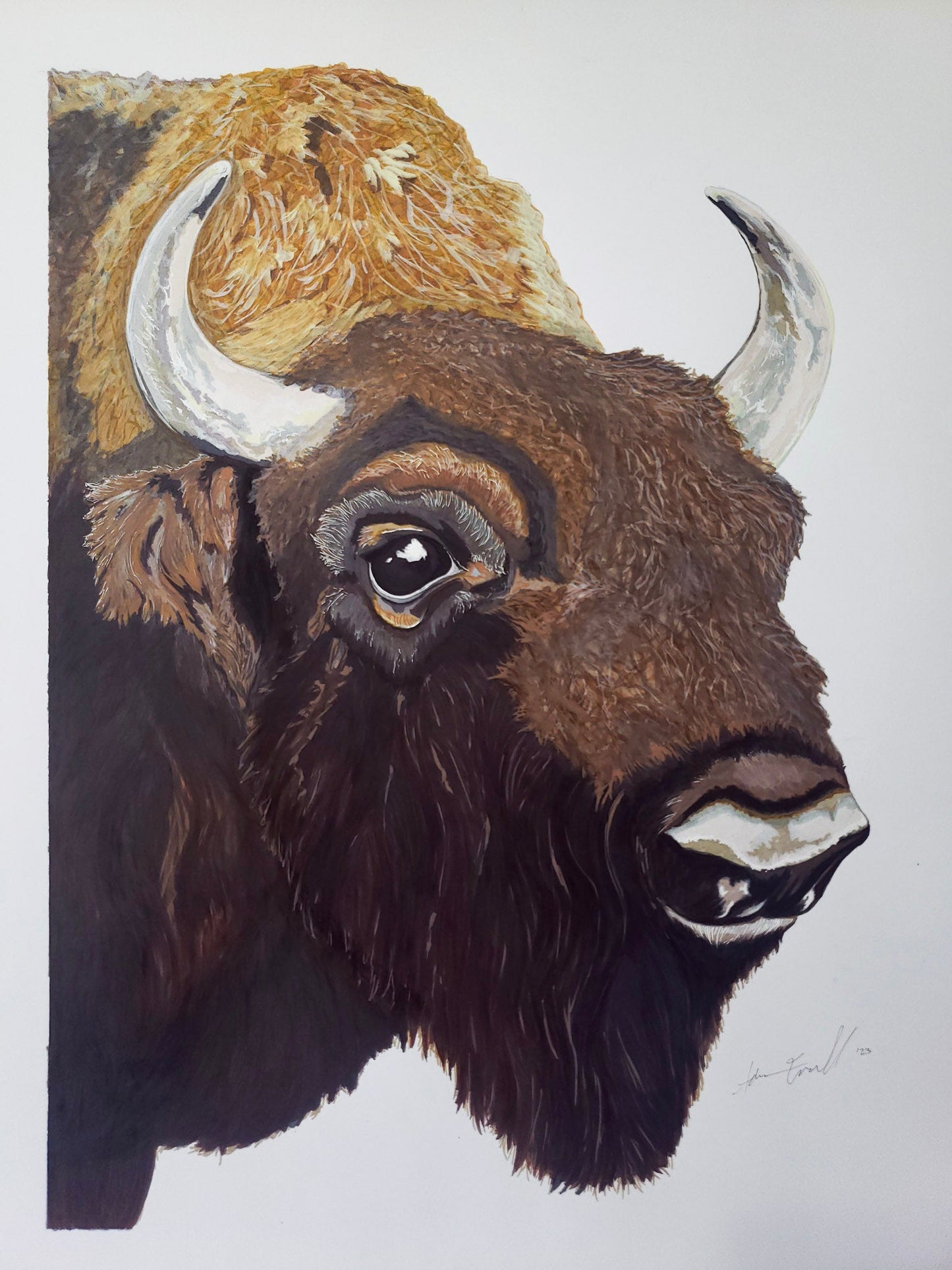 Bison-Original, 18x24