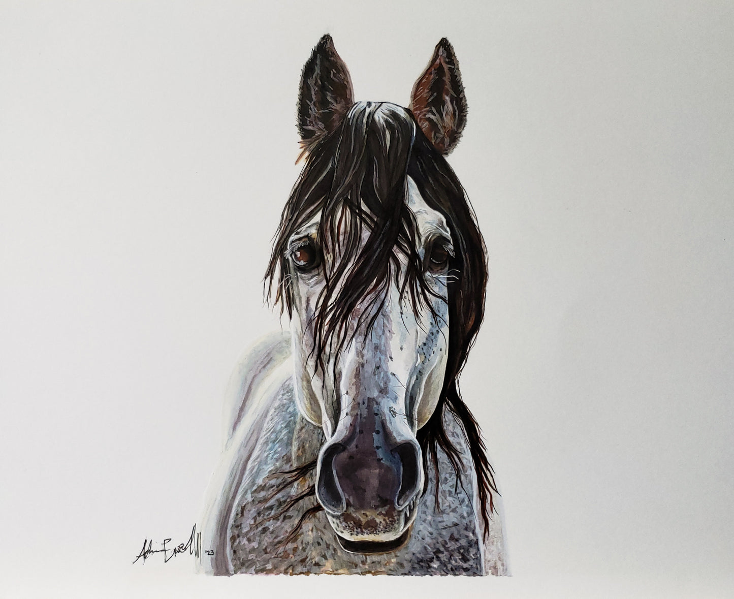 Dapple Grey Stallion-Original, 9x12