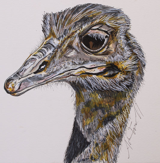 Angry Ostrich-Original, 9x12