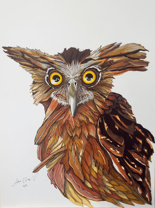 Angry Owl-Original, 9x12