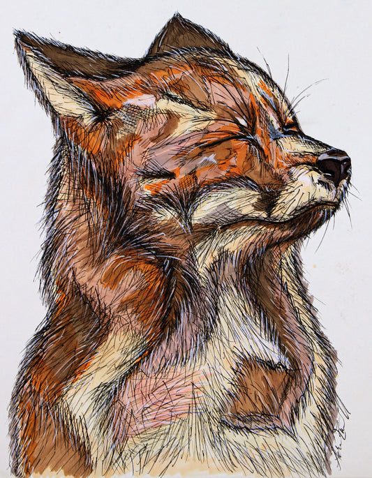 Sweet Fox-Original, 11x14