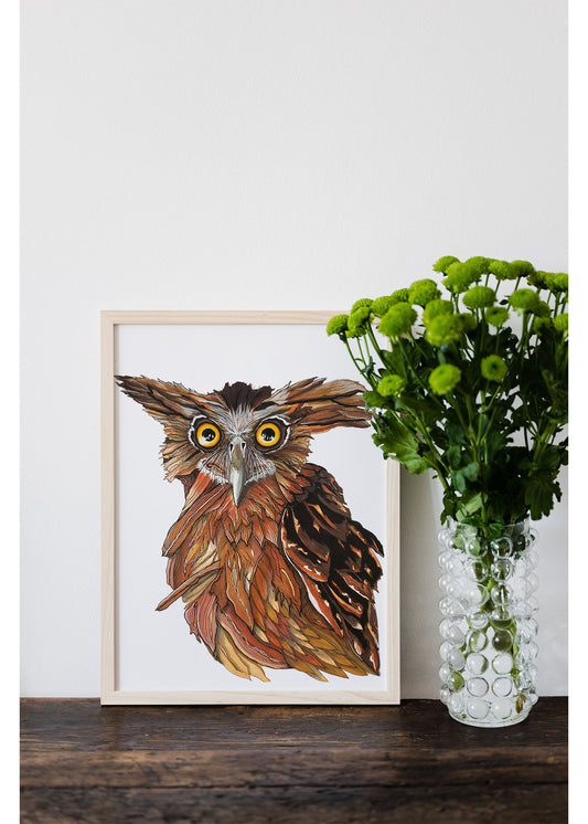 Angry Owl-Fine Art Print