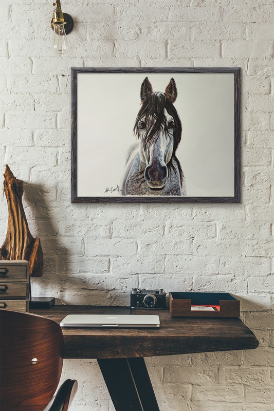 Dapple Grey Stallion-Fine Art Print