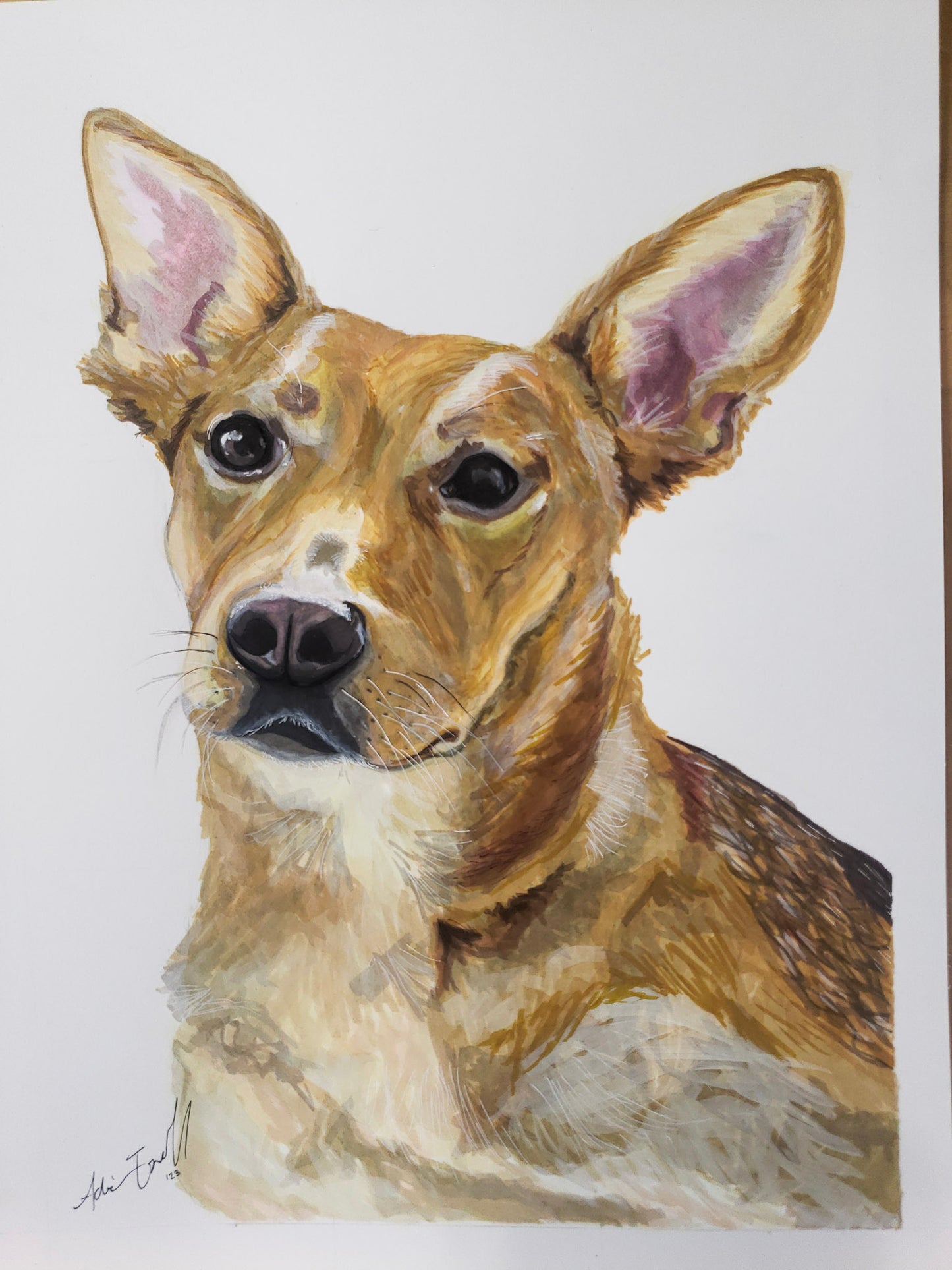 Commissioned Artwork