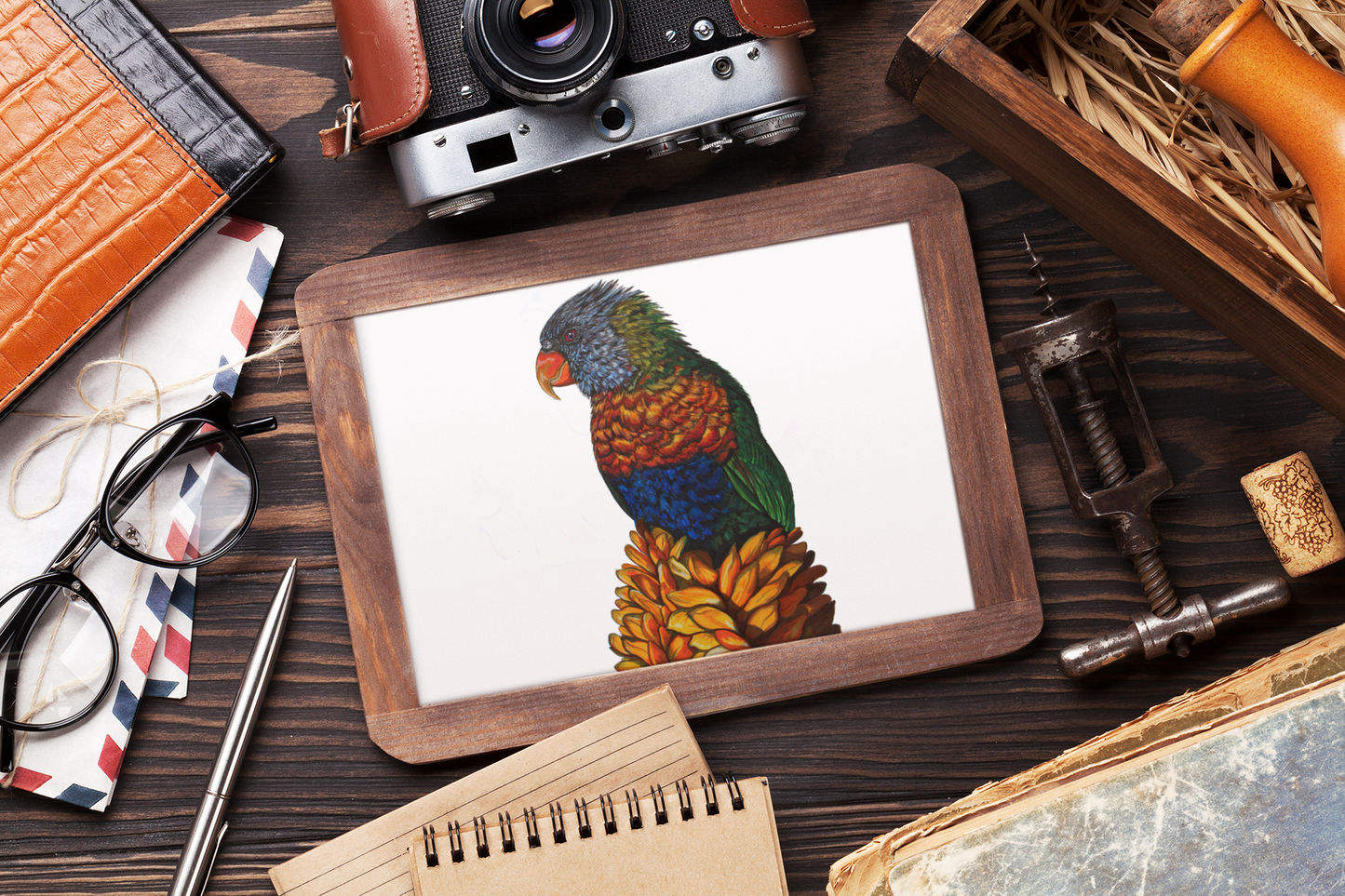 Rainbow Lorikeet-Fine Art Print