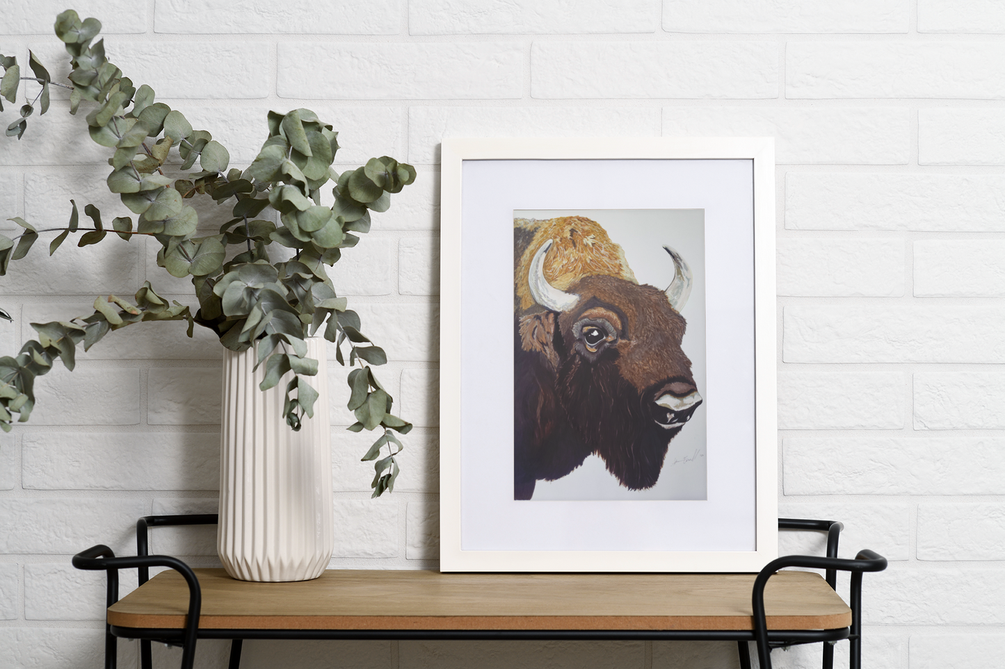 Bison-Fine Art Print